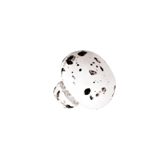 BEYAZ ÜZERİ SİYAH BENEKLİ SÜTLÜ MANTAR DRJ  2,5KG.