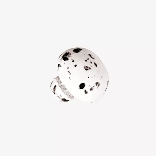 Beyaz Üzeri Siyah Benekli Sütlü Mantar Drj  2,5Kg.