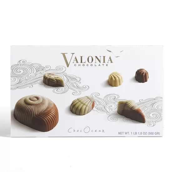 CHOCOCEAN SPESİYAL ÇİKOLATA 500GR.